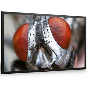 Изображения EYEVIS EYE-LCD-6500-QHD-V2-TIRT32AG, 23140
